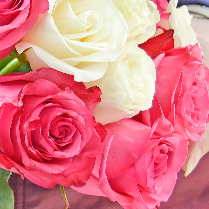 Букет из 15 розовых и белых роз